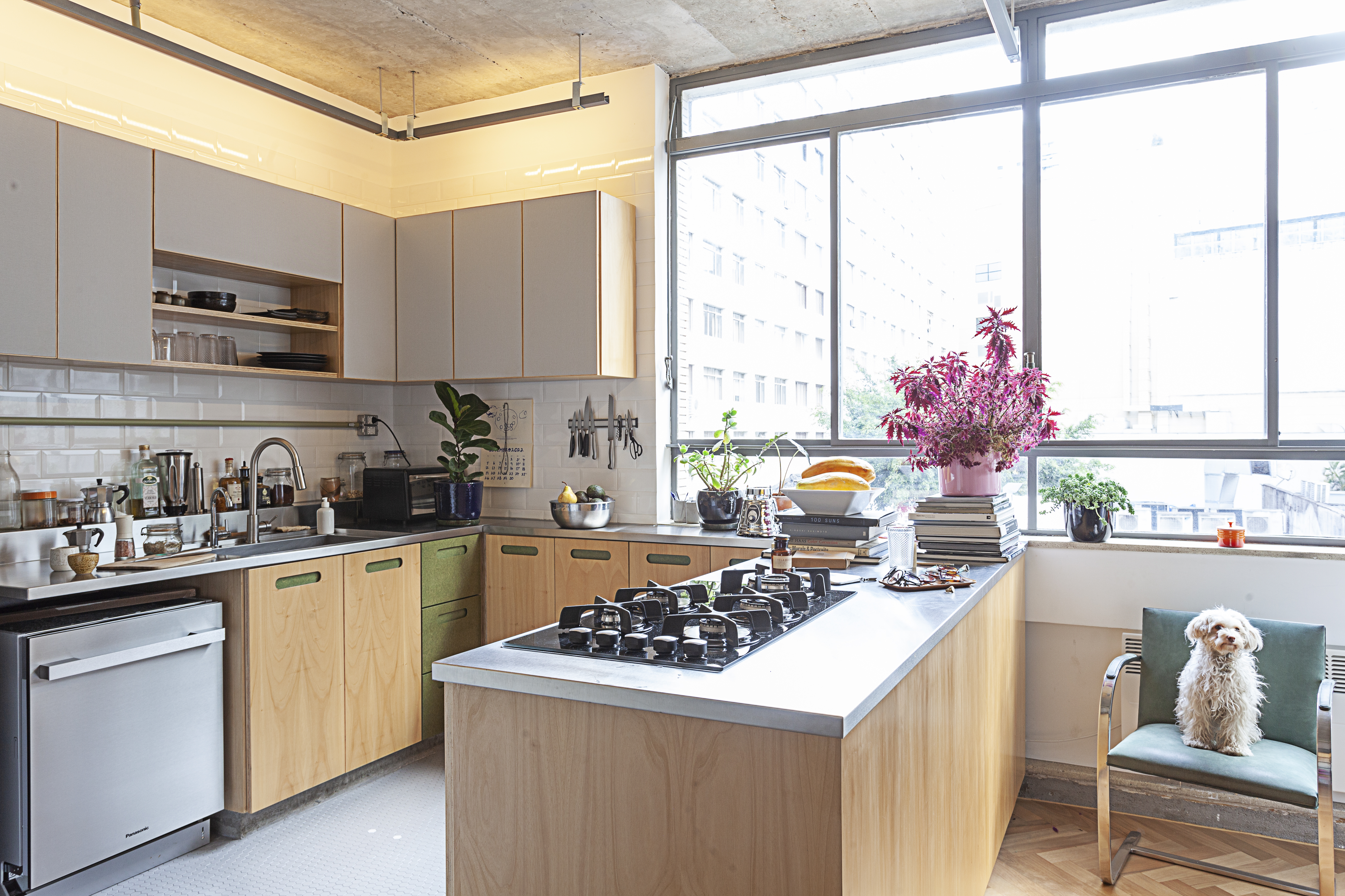 Banner Principal Home 5